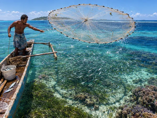Fijian fisherman casting a net over a lagoon