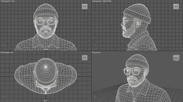 Multi-Angle 3D Wireframe Character Model in Quad-View Layout